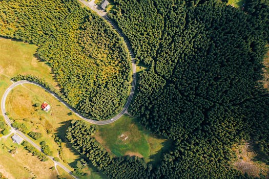 Od Revoluce po Luxus: Vznik a Rozvoj Kasin v ČR